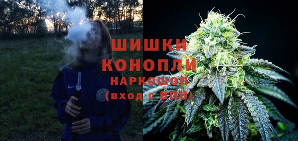 бошки Весьегонск