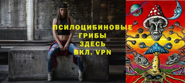 бошки Весьегонск
