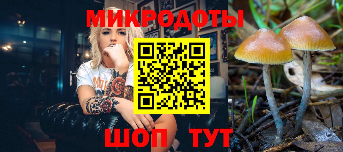 Псилоцибиновые грибы Cubensis Усолье-Сибирское