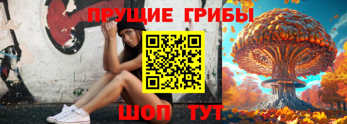 Псилоцибиновые грибы Cubensis  Вход с VPN  Усолье-Сибирское 